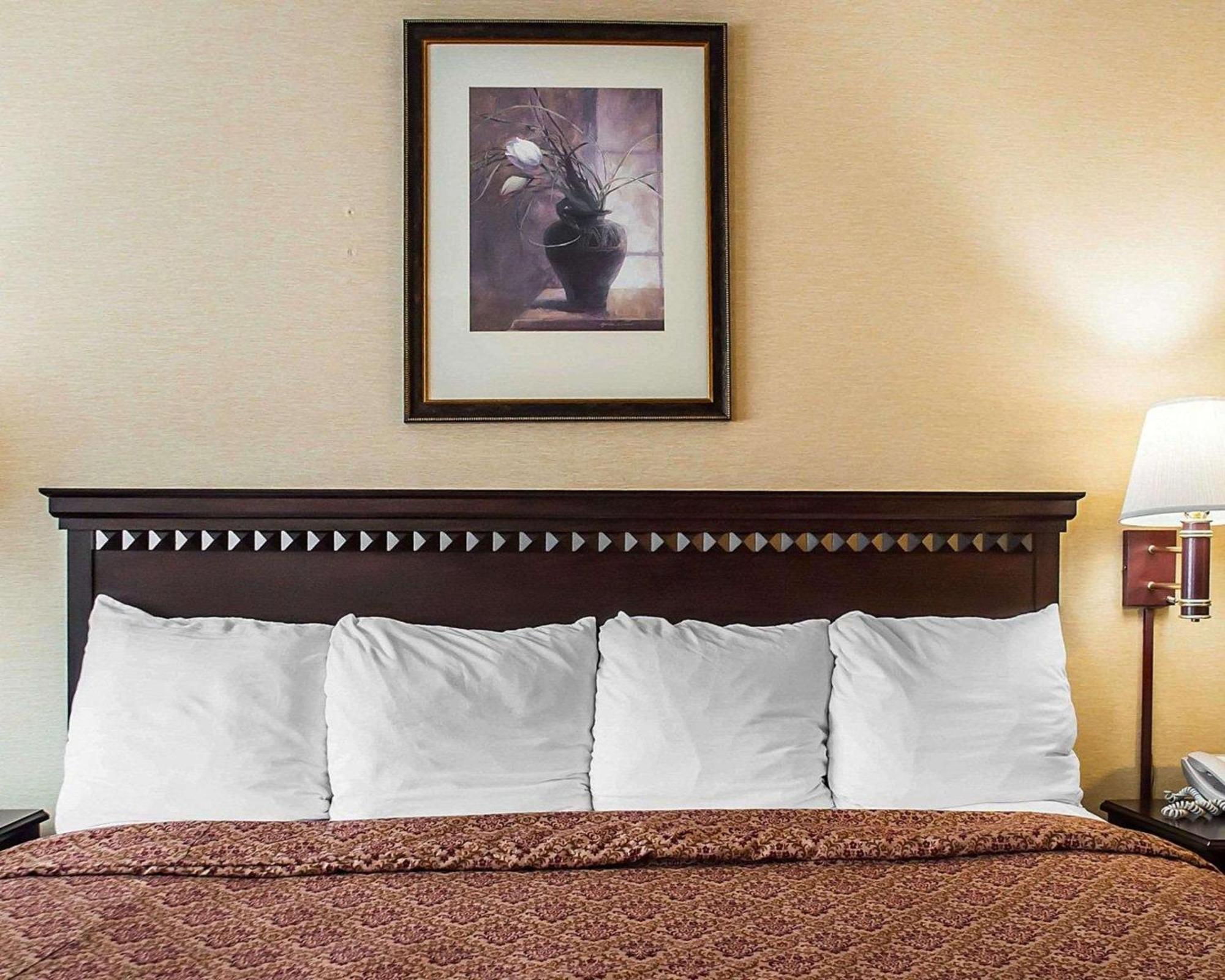Econo Lodge Elmira-Corning Fisherville Εξωτερικό φωτογραφία